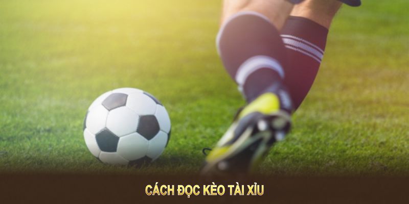 Bạn cần biết cách đọc Kèo Tài Xỉu để tự tin trước mọi trận đấu
