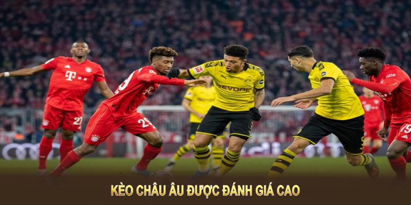 Kèo Châu Âu được đánh giá cao về tính dễ tiếp cận