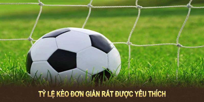 Đây là tỷ lệ kèo đơn giản rất được yêu thích trong cược thể thao